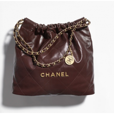 Chanel 22 Medium Handbag-Dark brown  