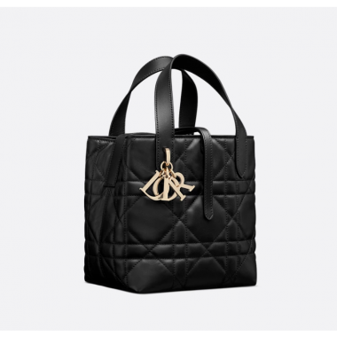 Small Dior Toujours Vertical Tote Bag-Black