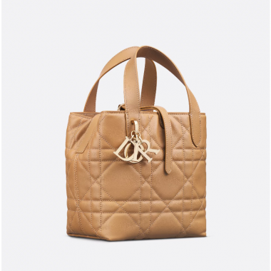 Small Dior Toujours Vertical Tote Bag-Tan