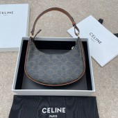 Celine Ava Bag in Triomphe Canvas and Calfskin 