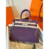 Pre-ordered Birkin 25 / 30  in Ostrich Leather- Purple