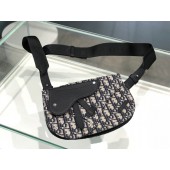 Ricamata Oblique Dior Messenger