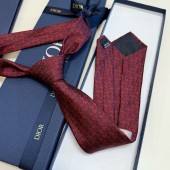 Dior Silk Neck Tie