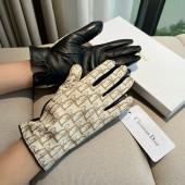 Dior Gloves