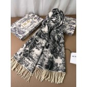Dior Cashmere Scarf
