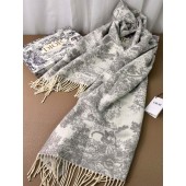 Dior Cashmere Scarf