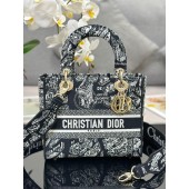 Christian Dior Medium Lady D-Lite Bag 