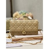 Lady Dior Top Handle Clutch 