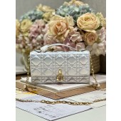 Lady Dior Top Handle Clutch 