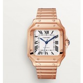 Swiss Santos De Cartier , Medio 