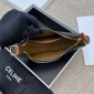 Celine Ava Bag in Triomphe Canvas and Calfskin 