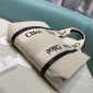 Chloe Borsa Shopping  Media 