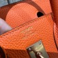 Hermes Birkin 25 / Birkin 30  in Togo Leather-Orange