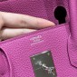 Hermes Birkin 25 / Birkin 30  in Togo Leather-Magnolia