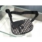 Ricamata Oblique Dior Messenger