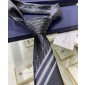 Dior Silk Neck Tie