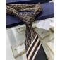 Dior Silk Neck Tie