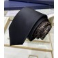 Dior Silk Neck Tie