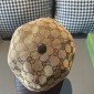 Gucci Baseball Cap