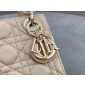Mini Lady Dior Bag 