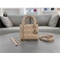 Mini Lady Dior Bag 