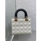 Two-tone Small Lady dior My ABCDior Bag