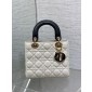 Two-tone Small Lady dior My ABCDior Bag