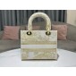Christian Dior Medium Lady D-Lite Bag 