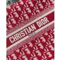 Christian Dior Small Book Tote 