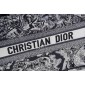 Christian Dior Medium Book Tote 