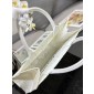 Christian Dior Medium Book Tote 