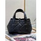 Small Dior Toujours Bag  