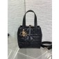 Small Dior Toujours Vertical Tote Bag-Black