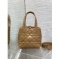 Small Dior Toujours Vertical Tote Bag-Tan
