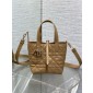 Small Dior Toujours Vertical Tote Bag-Tan