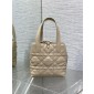 Small Dior Toujours Vertical Tote Bag-Powder beige