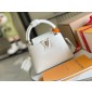 Louis Vuitton Capucines Mini