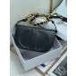 Christian Dior CD Signature Bag 