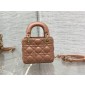 Mini Lady Dior Bag 