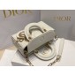 Christian Dior Lady D-Joy Micro Bag 