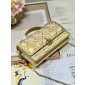 Lady Dior Top Handle Clutch 