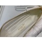 Christian Dior Caro Pouch on Chain  