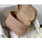 Small Diortravel Small Vanity Bag